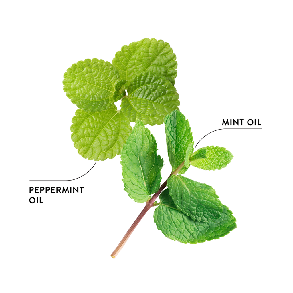 ECODENTA Sensitive Toothpaste – For Sensitive Teeth and Gums